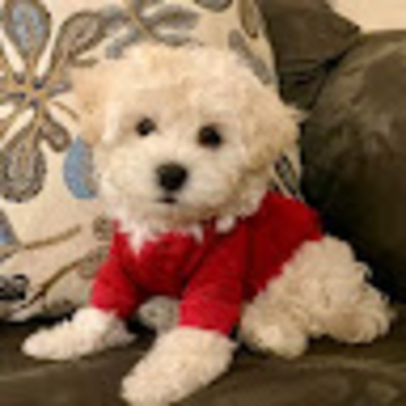 Meet your Posher, Vanessa - Picture 1 of 1